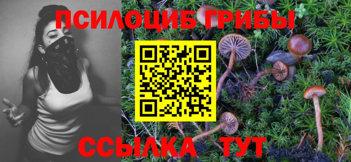 Псилоцибиновые грибы прущие грибы Клин