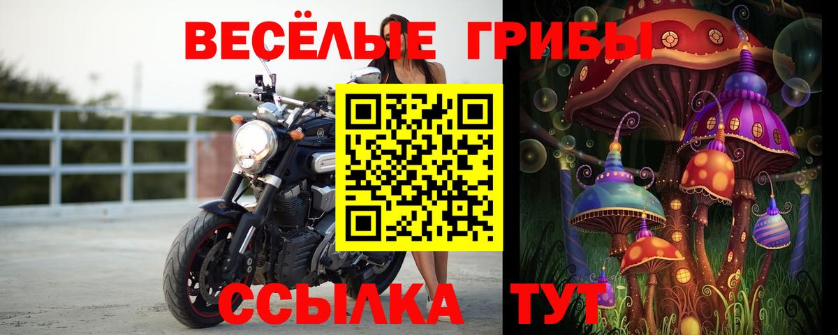 Галлюциногенные грибы Psilocybe  Вход с VPN  Клин 